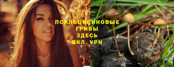 синтетический гашиш Белокуриха